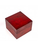 Stylish wooden box for watch
